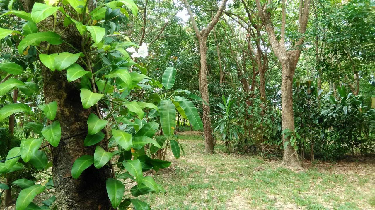 Dugong Koh Sukorn Hotell Ko Sukon Exteriör bild